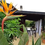 Laurus Alghero Magnifica Con Piscina 122 * Valverde (Sardinia)