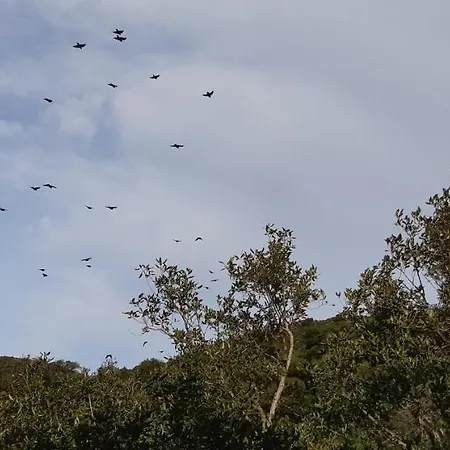 Villa Laurus Alghero Magnifica Con Piscina 122 *