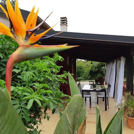 Laurus Alghero Magnifica Con Piscina 122 * Valverde (Sardinia)