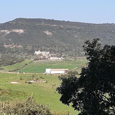 Laurus Alghero Magnifica Con Piscina 122 *